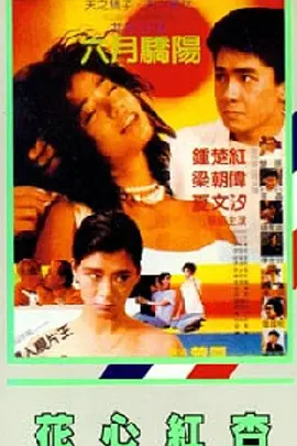 亚洲精品国产第一区第二区国