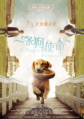 鲁鲁影院