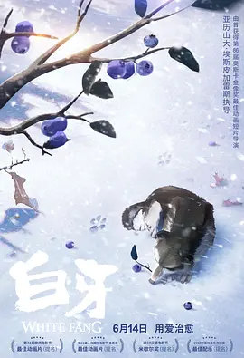 字幕 网站
