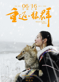 三个女人的故事