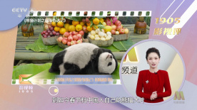 操xxxx